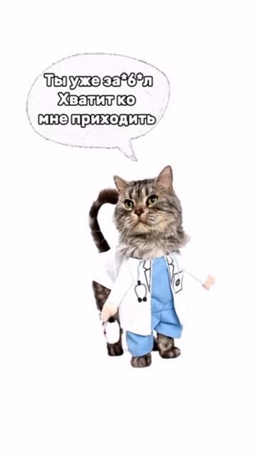 кртята пояснят )