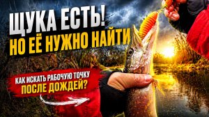 Как найти щуку после дождя? Реальная рыбалка от первого лица