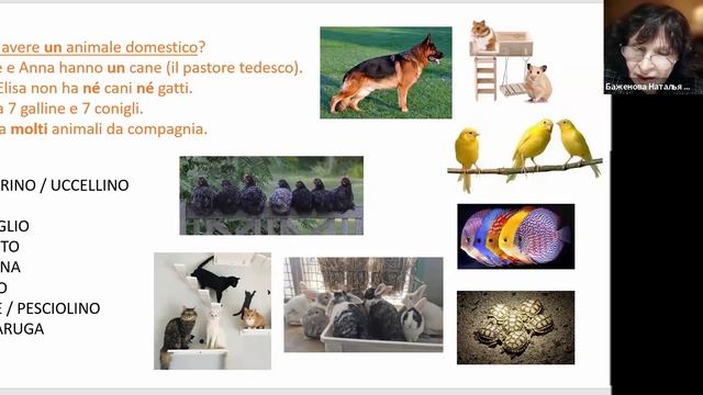 29 апреля. Поток 78. Встреча с Ольгой.Уроки 6-7 модуля 1