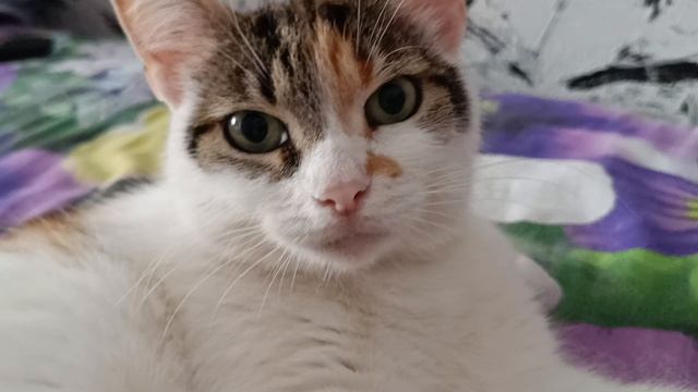 Агрессивная