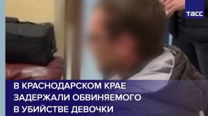 В Краснодарском крае задержали обвиняемого в убийстве девочки