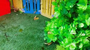 Прятки в одном цвете с Крисом и друзьями