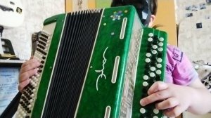 Выберите какую песню петрушка или ëлачка