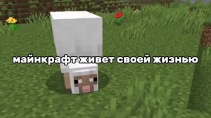 Футболист