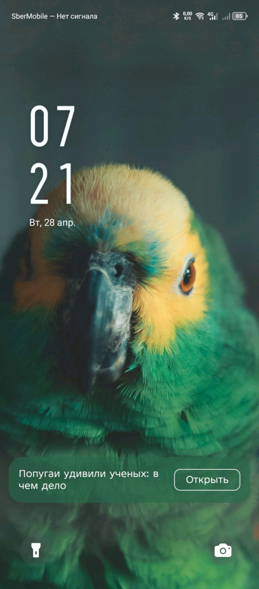 ,❤️❤️❤️❤️🍡🤪