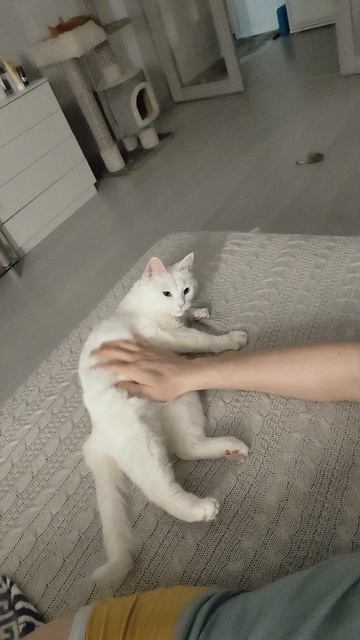 Василиса ласкается.mp4