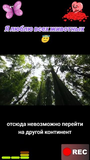 Животные приколы и не только😅