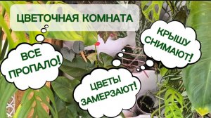 ОНИ ХОТЯТ ЗАМОРОЗИТЬ МОИ РАСТЕНИЯ! 🫣 СТРОЙКА ИДЁТ НЕ ПО ПЛАНУ! 29-04-2026