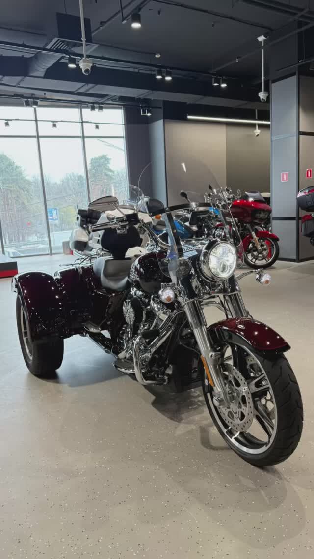 Harley-Davidson Freewheeler 2021 VIN: 5HD1MCP56NB850567