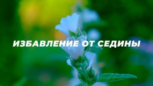Избавление от седины. Омоложение волос | Cаблиминал