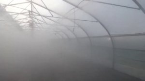 Туманообразования Теплица х  Украинский
