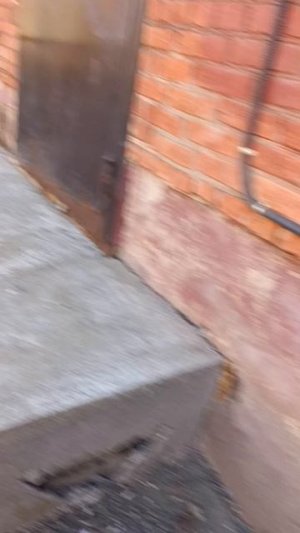 scene_output.mp4