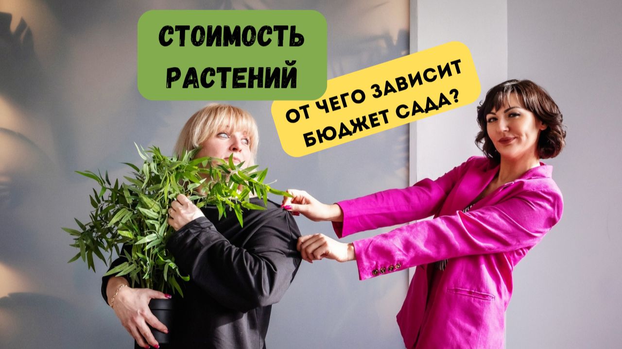 Стоимость растений в ландшафтном дизайне