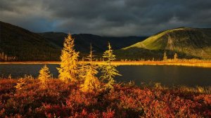 Коран сура Аль-Мумтахьана чтец Мухаммад аль-Факих