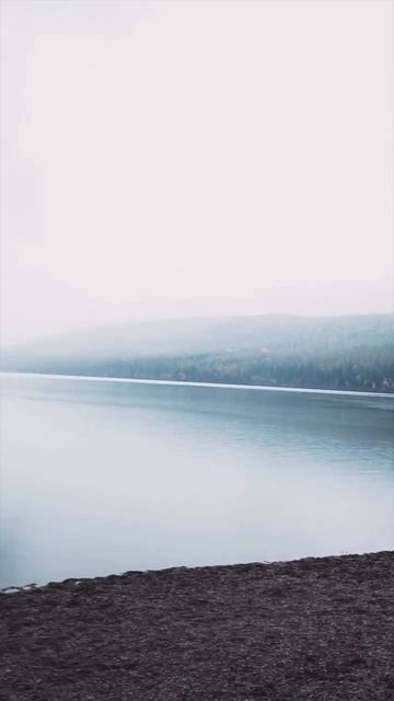 Видео от Департамент Кринжовых Видосов  ДКВ