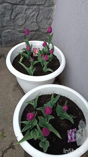 Нечестные продавцы на Озоне!