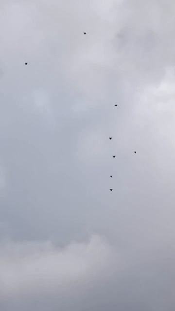 29 апреля  2 часть