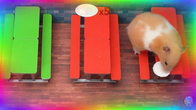 Приключения хомячка в игровом мире! 7