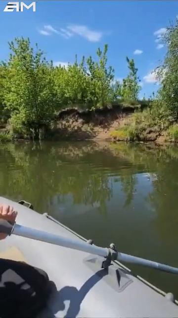Река.Лодка.Лягушки