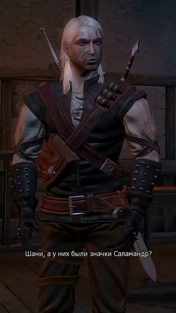 Они же в плащах_ vilmarionv games игры gaming game witcher oldgames ведьмак1 nostalg