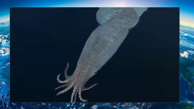 Этот Доисторический Океан Вызывал Талассофобию На Стероидах