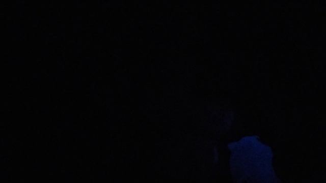 Вот так светятся в темноте мои гуджидцу.