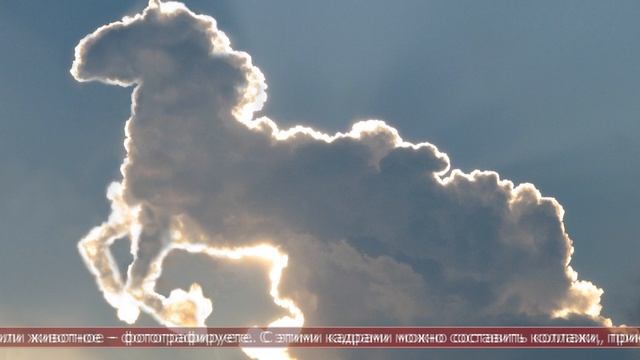 30.04.2026 Интересные факты.  Занятия на лето, которые вы будете помнить весь год