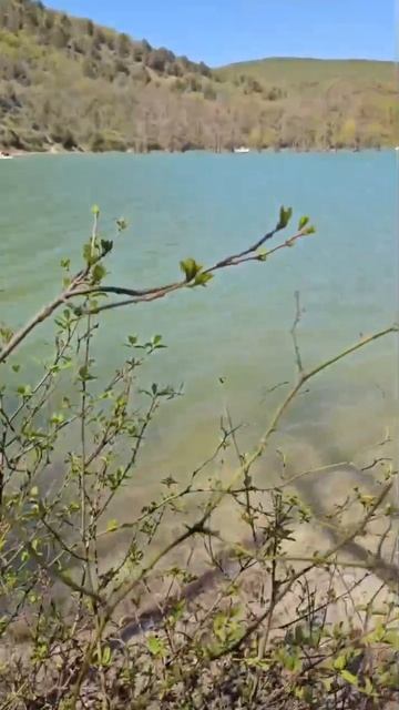 Экскурсия на Кипарисовое 7905782-89-96