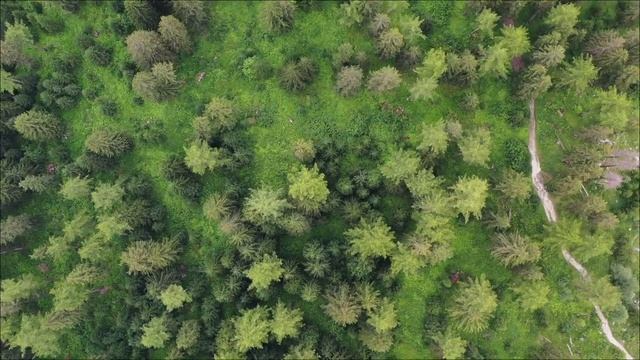 Финансовый прогноз на май. Усиливаем денежную энергию.