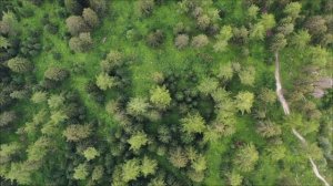 Финансовый прогноз на май. Усиливаем денежную энергию.