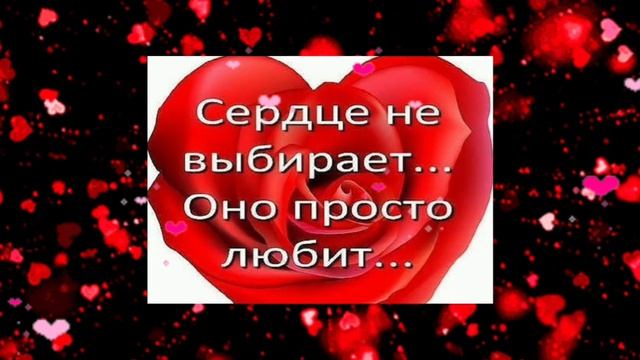 Асердце мне противоречит