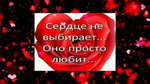 А,сердце мне противоречит