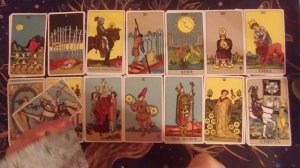 Майский котик или царь зверей появится в вашей жизни в мае