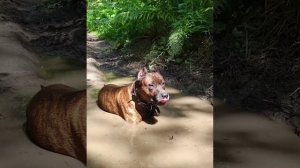 Прогулка до озера Кистяковского. В районе п. Костяки