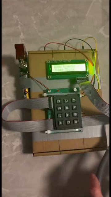 Бимба моделька