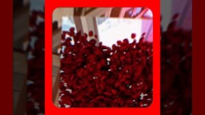 1000057248.mp4 (Собака наблюдает за устройством лестницы на 2-ой этаж в доме А-фрейм)