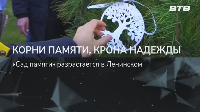 КОРНИ ПАМЯТИ, КРОНА НАДЕЖДЫ