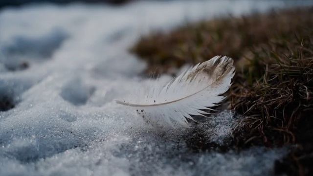 Белая лебедь Вальс о весне - Марина Артемьева и Елена Черныш