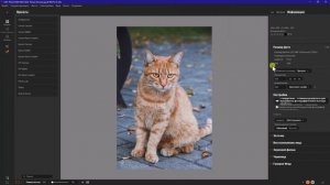 Какая модель увеличения размеров снимков работает лучше в программе «ON1 Photo RAW MAX»
