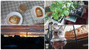 Тяжело быть без воды / Расхламила балкон / Порядок в рассаде / Шикарный закат солнца