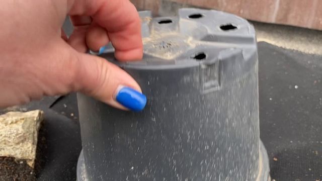 В деревню на дачу#Обзор сада#Холод в апреле#24апреля2026#сад#дача#деревня#огород#