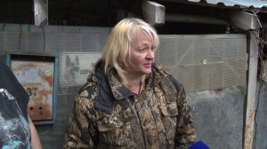 Историю по гибель собак в частном доме хозяйка питомника просто придумала