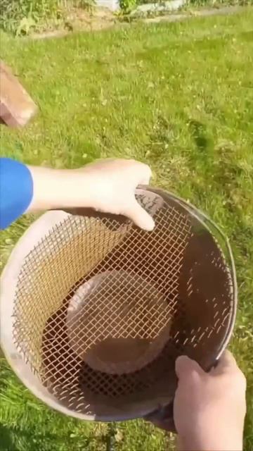 Дача своими руками.