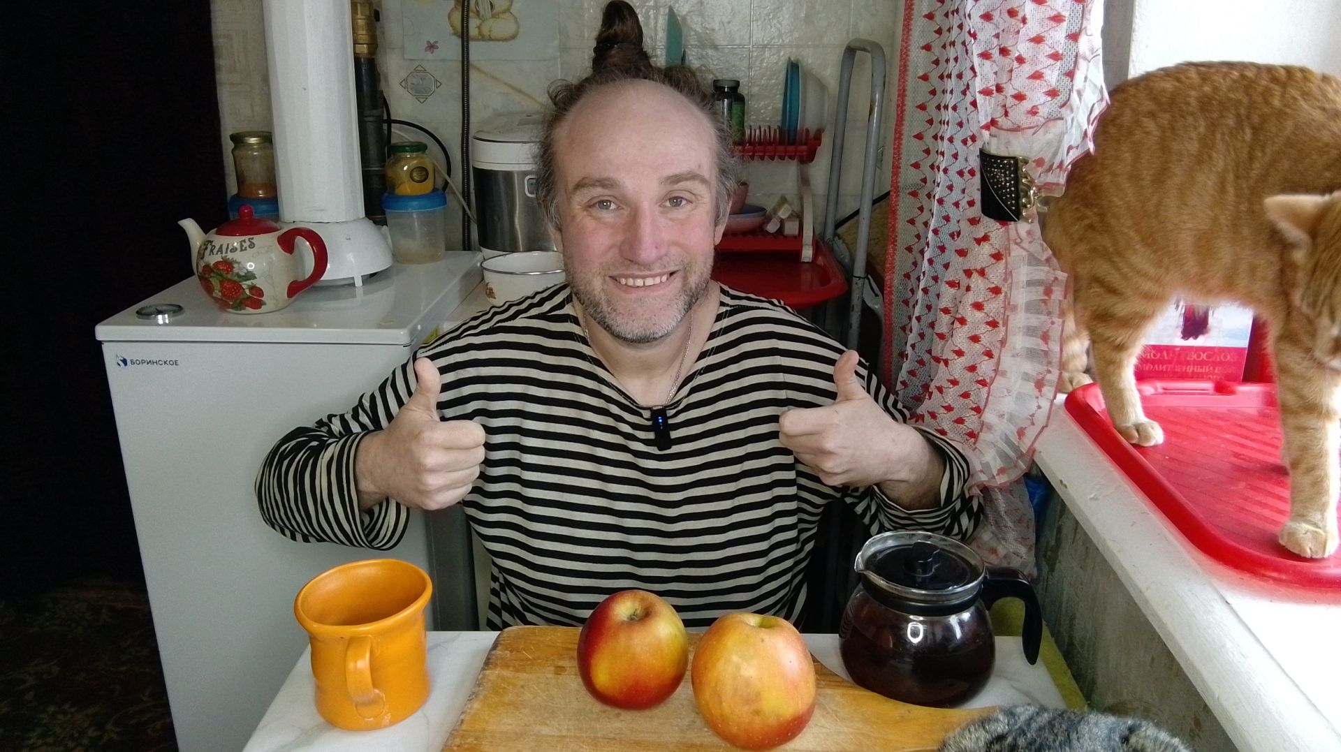 Завтрак с котями 500г. яблок. Циля проявляет себя. Мукбанг. Обжор. Еда на камеру. Диета. Шизофрения.