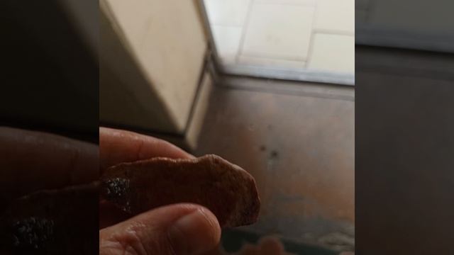 камень прилип к стеклу.