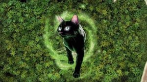 Feline In Flow State ⧸⧸ Deep Minimal Techno for Maximum Cognitive Output ☘️