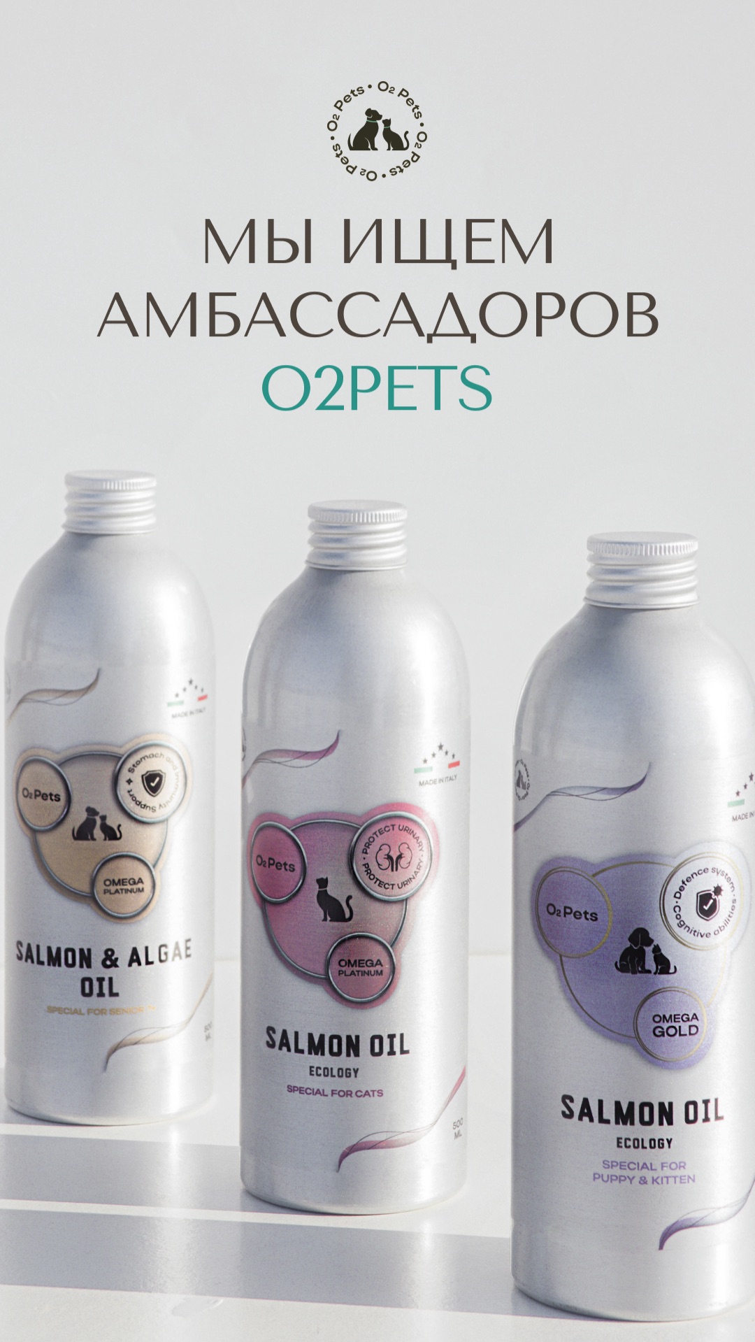 Мы ищем амбассадоров