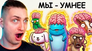 Животные с более высоким IQ, чем у меня - реакция Градуса и Вазачки