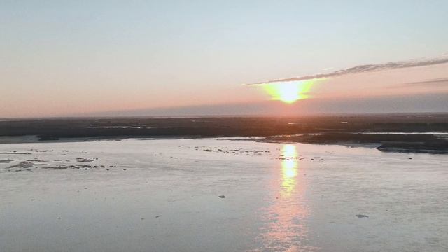 Арт-проект «Форма» 2026. ШКИ – проект «Вселенная в лотосе».