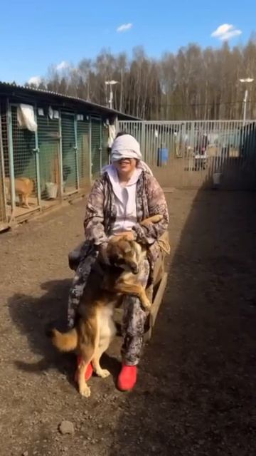 Развивающие игры для волонтёров